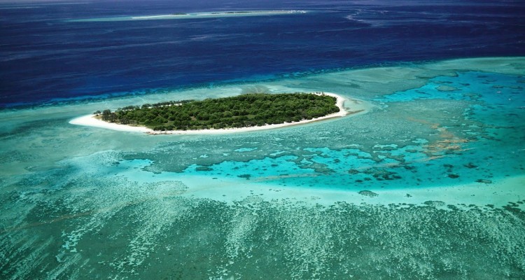 Lady_Musgrave_Island