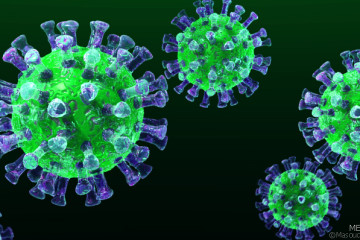 Mers-virus-3D-image