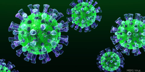 Mers-virus-3D-image