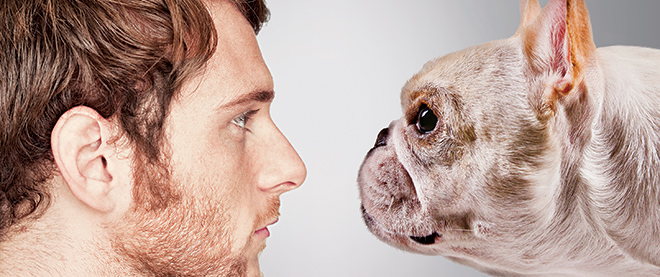 Animal Communication - iFink! Animal Communication - iFink!