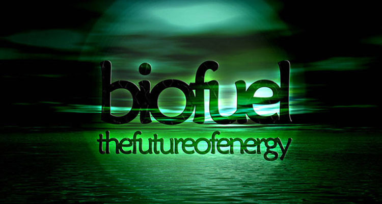 biofuels-from-bacteria