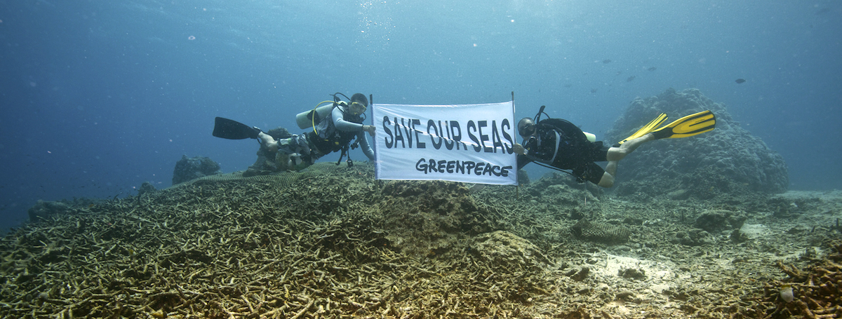 What’s Killing our Reefs