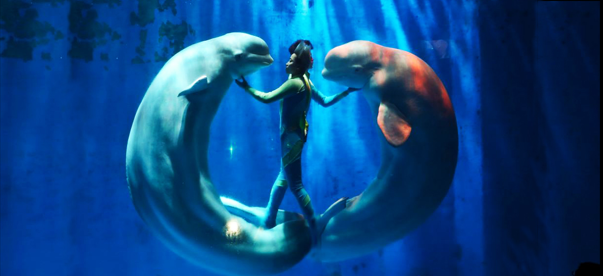 Aquatic Mammals