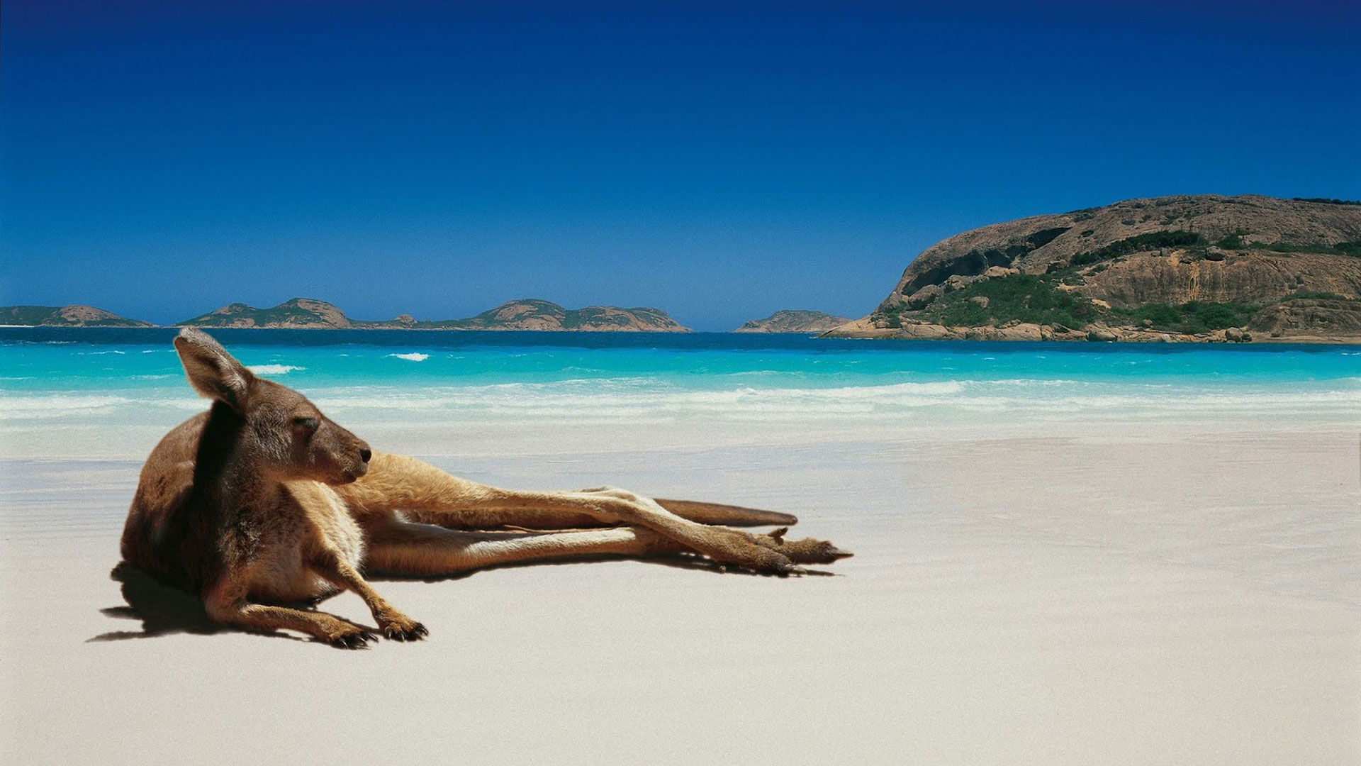 Study in Australia